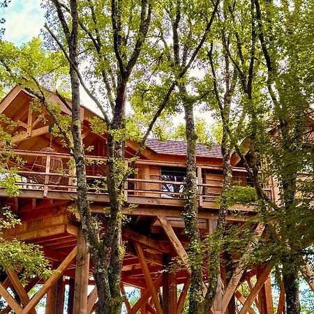 Dolce Et Cabane Berat Extérieur photo
