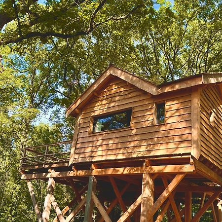 Dolce Et Cabane Berat Extérieur photo