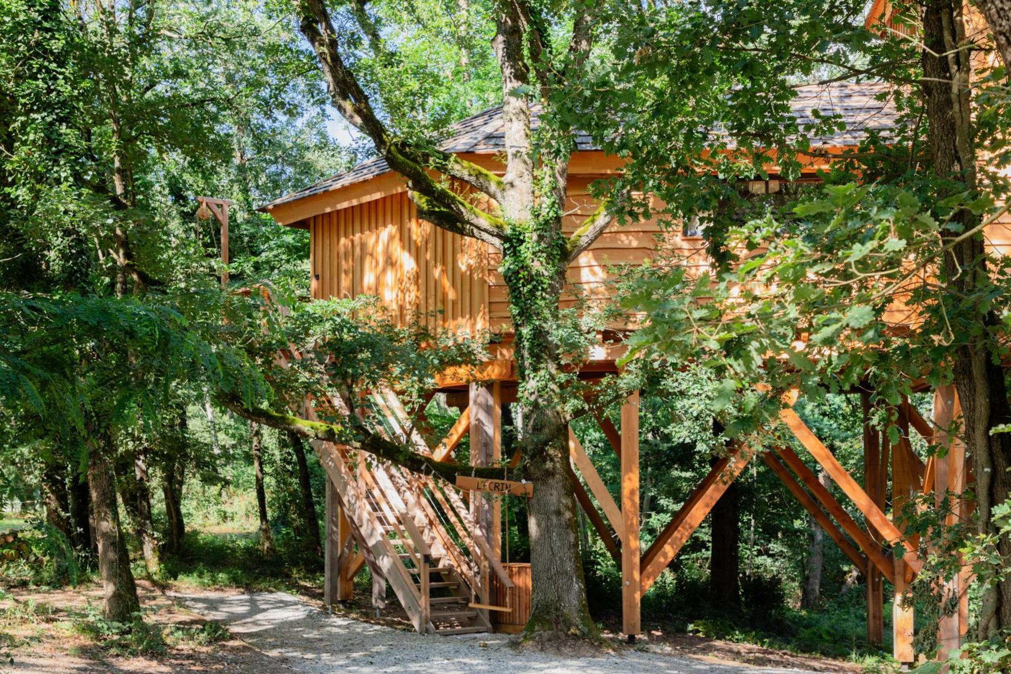Dolce Et Cabane Berat Extérieur photo